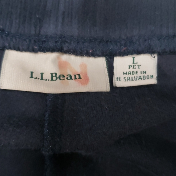 donated L.L. BEAN WOMENS CORDEROY SWEATPANTS L PETITE - Picture 3 of 7